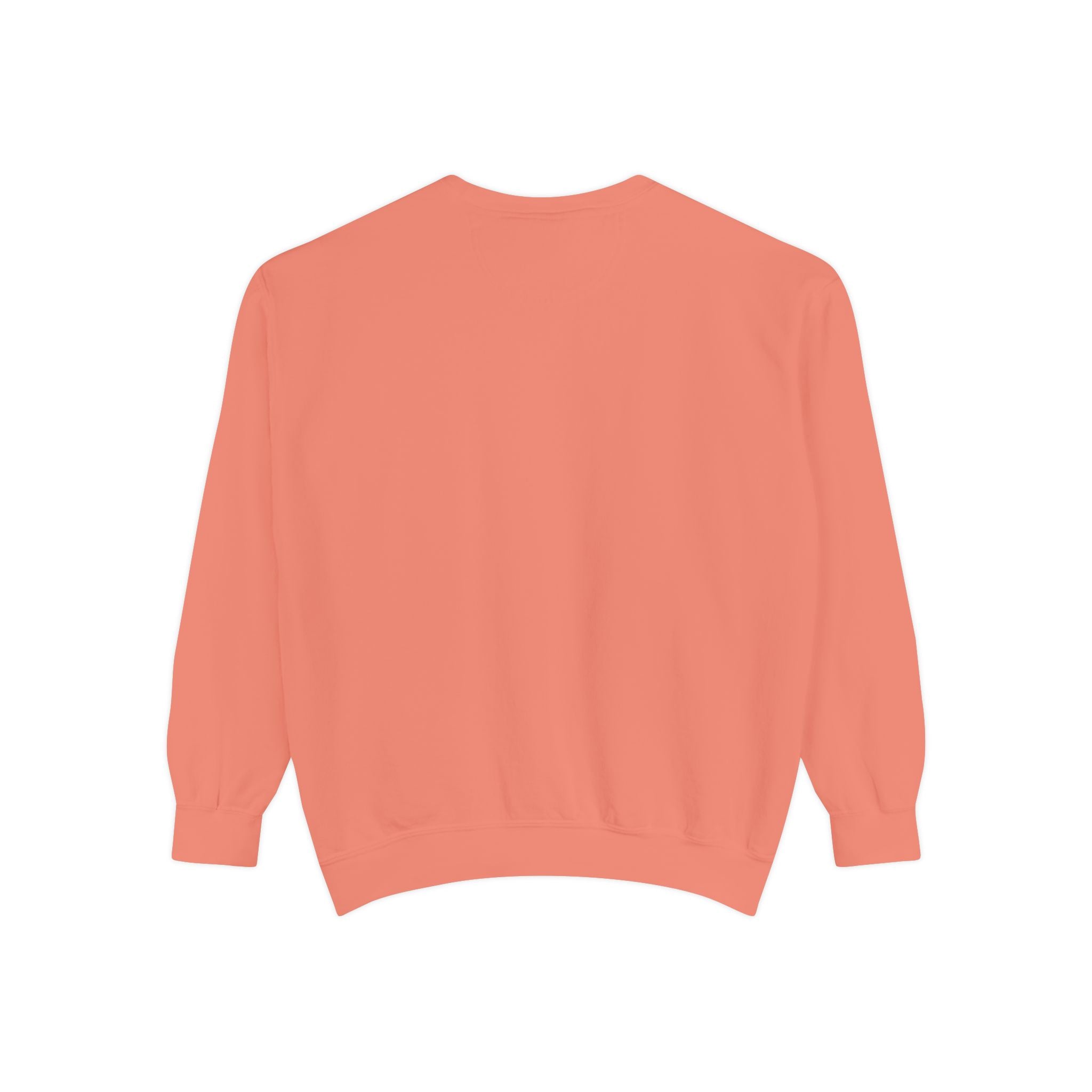 6i6a6ien Moth Graphic Sweatshirt