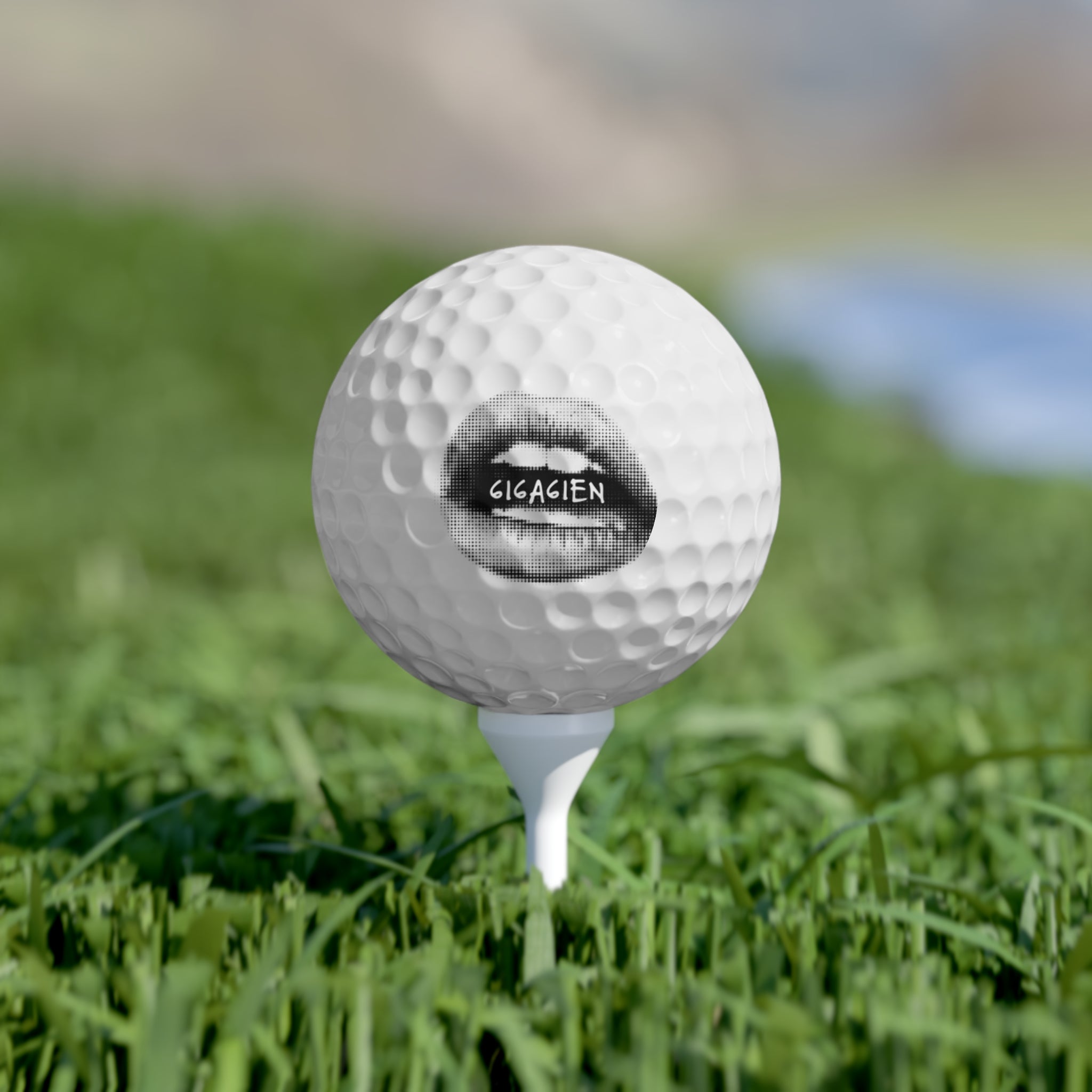 6i6a6ien SmackTalk Golf Balls, 6pcs