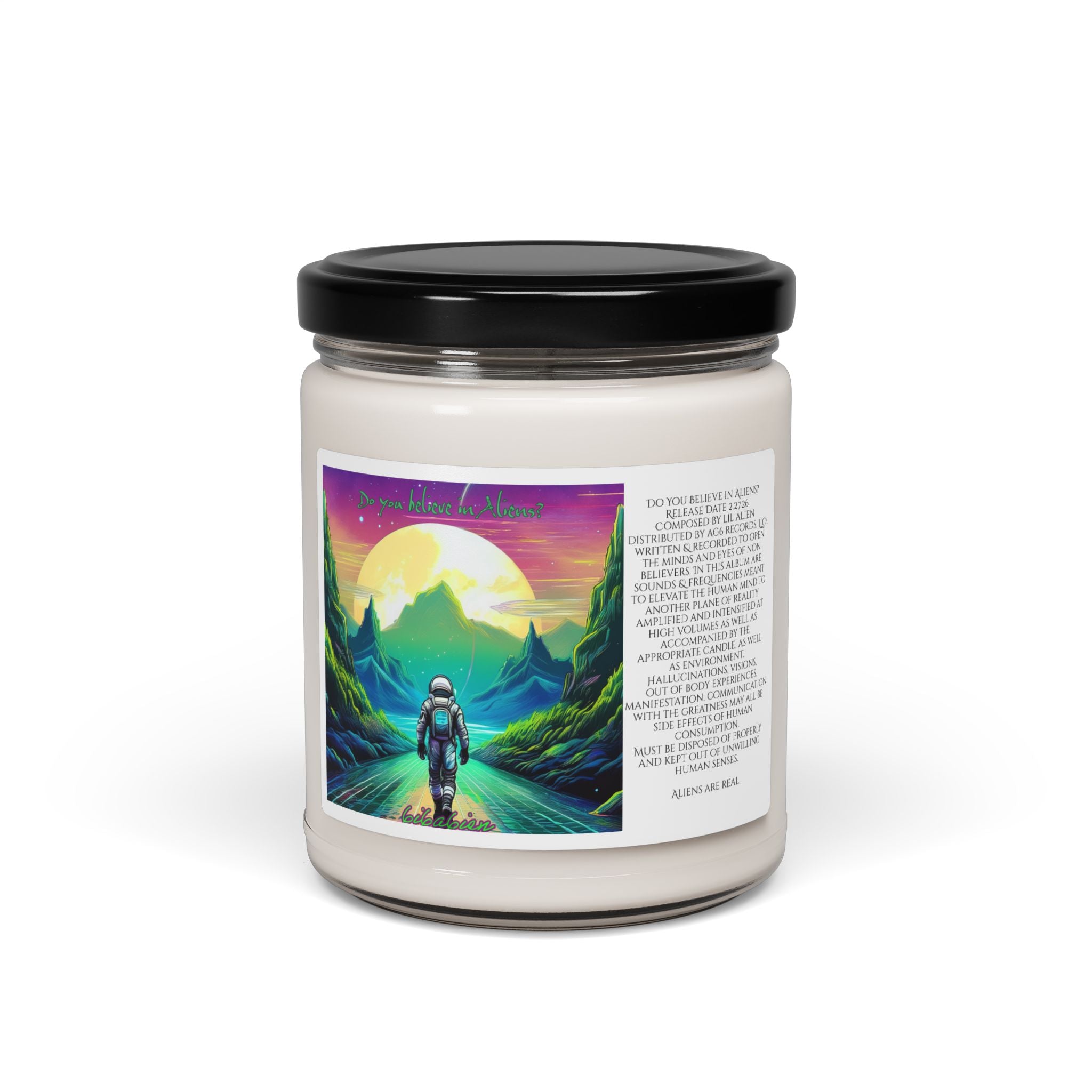 Do You Believe in Aliens? Exclusive Full Immersion Album Candle | Scented Soy Candle, 9oz