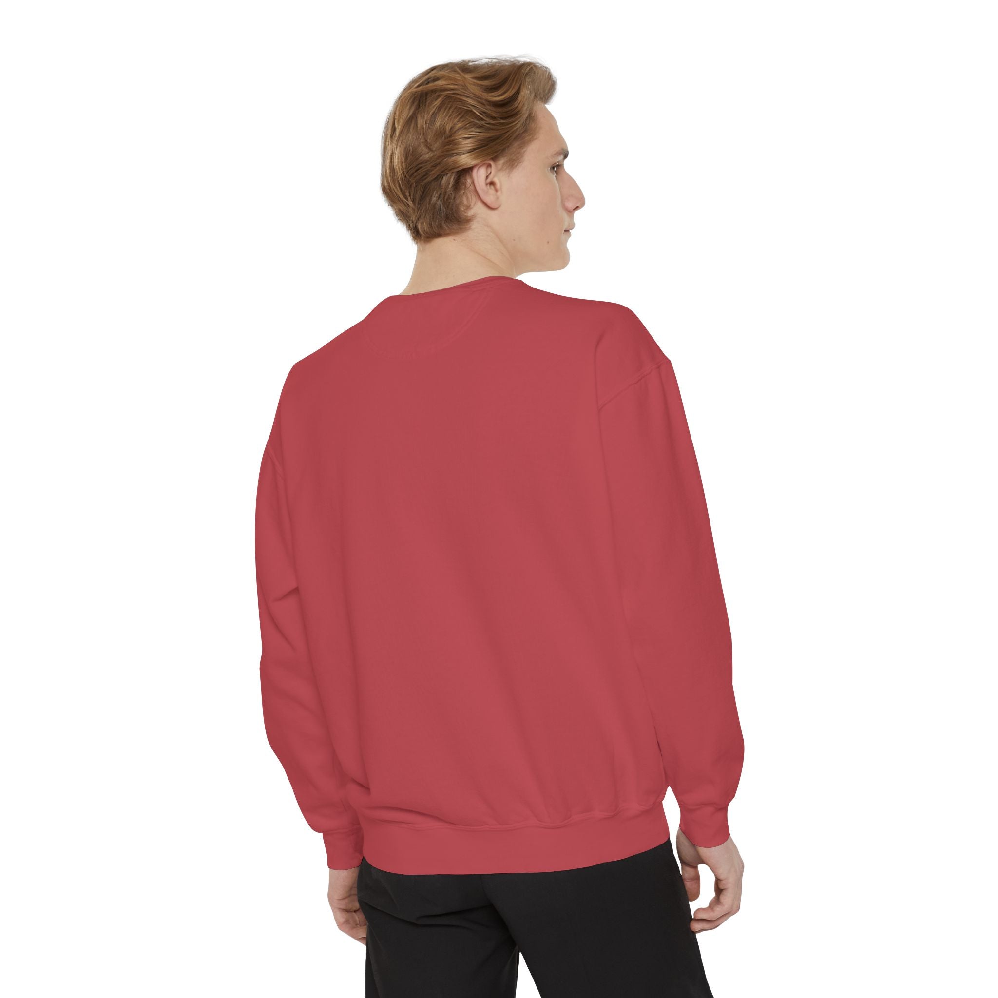6i6a6ien Moth Graphic Sweatshirt