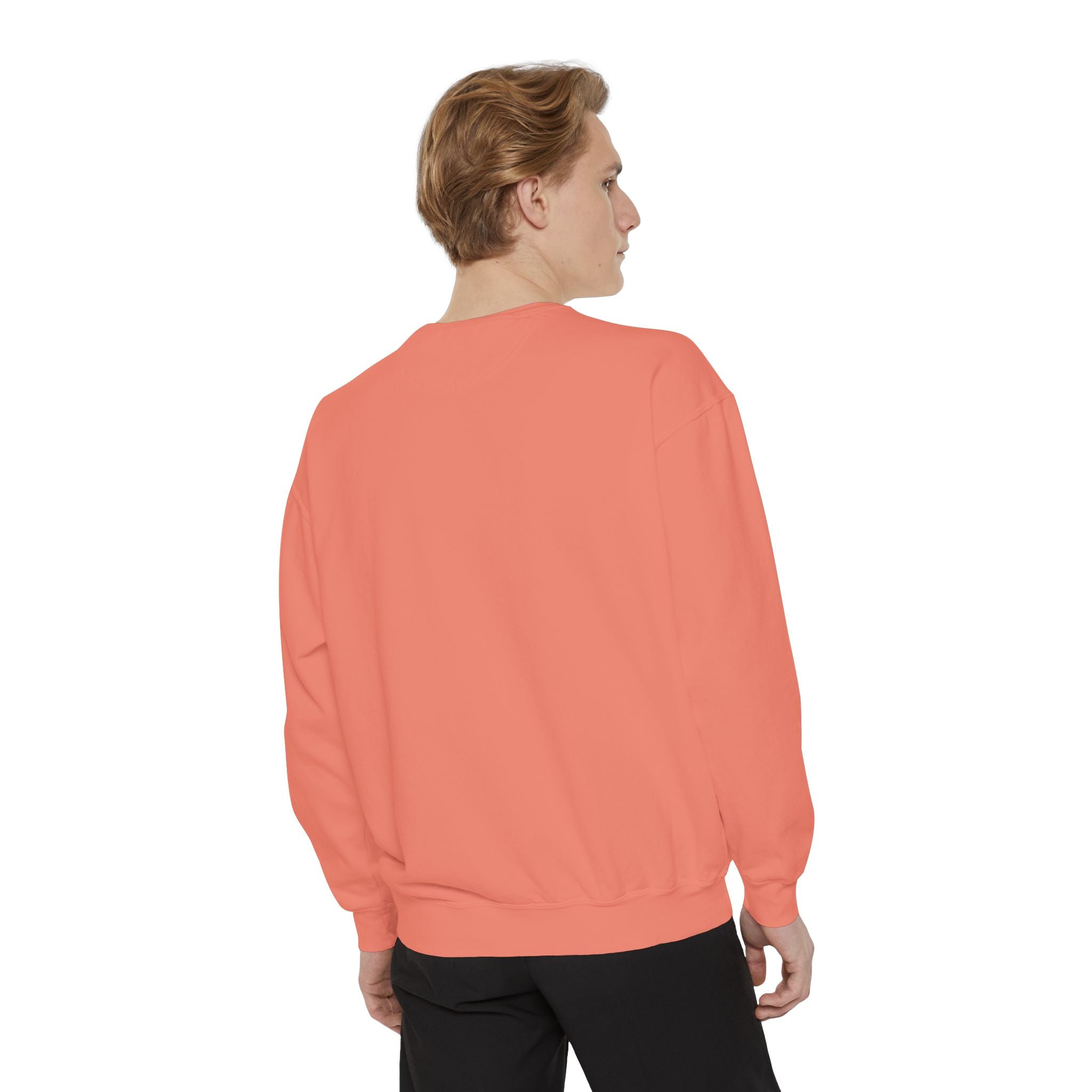 6i6a6ien Moth Graphic Sweatshirt